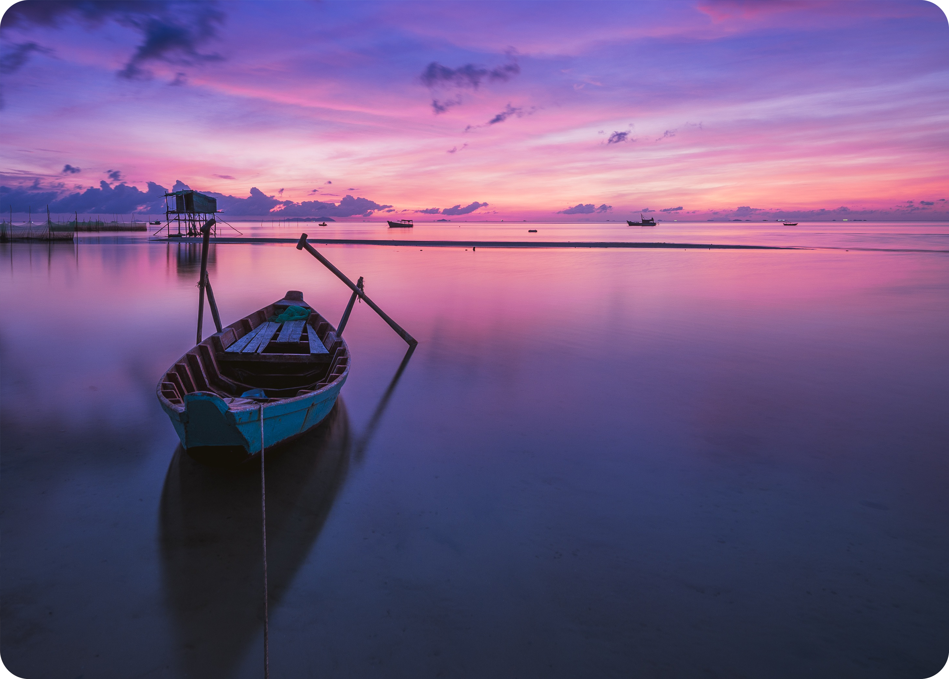 /essential-oils-for-peace/